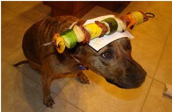 dog-kebab.jpg